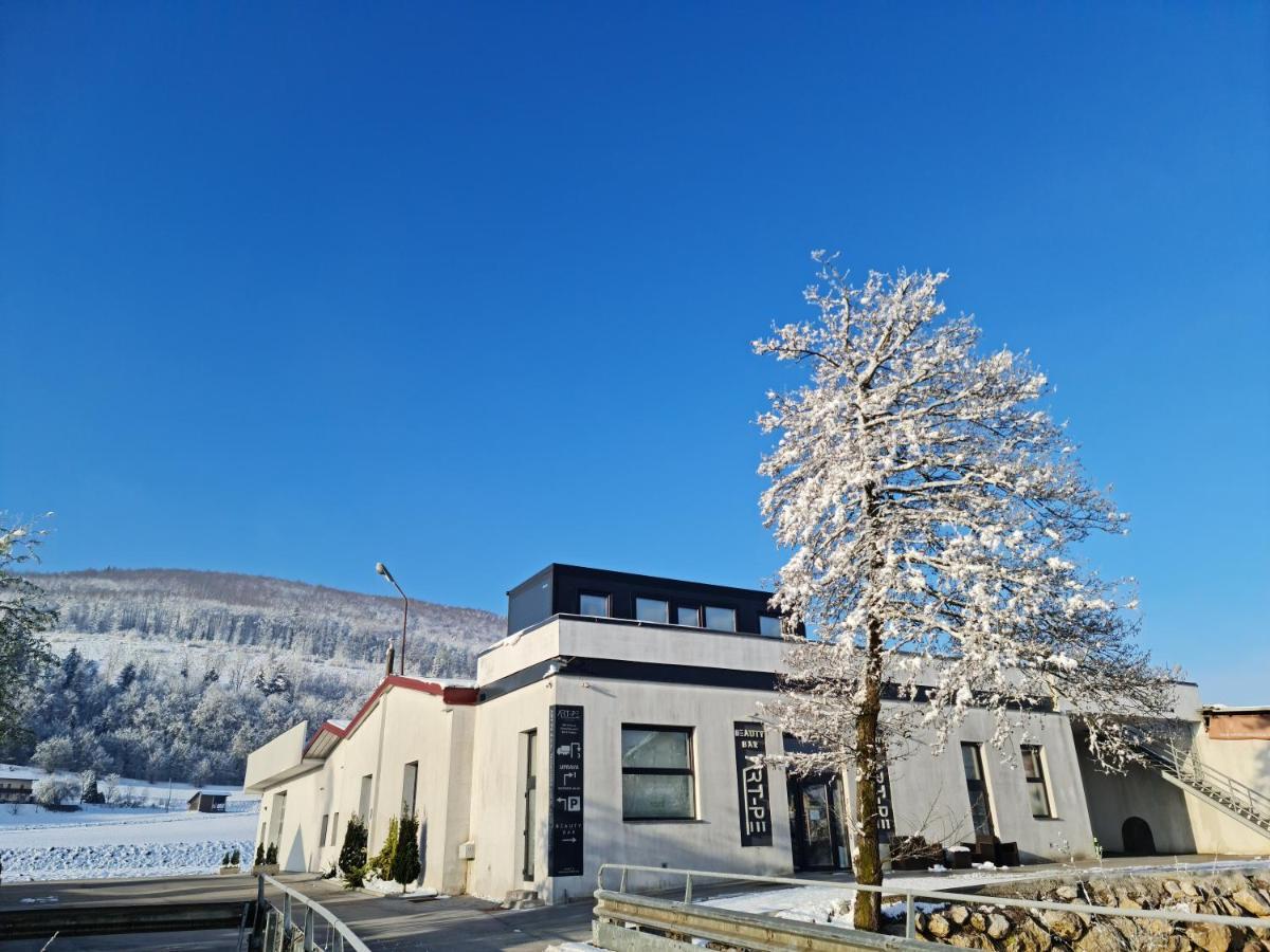 Roof Apartment Art-Pe Trebnje Exterior foto